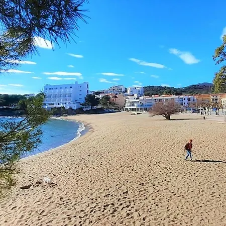 En Con Gran Terraza, Admite Mascotas, Cerca De La Playa - Es-170-7 Appartement Llançà